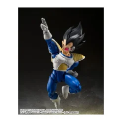 Bandai Tamashii - Dragon Ball Z - KYEWI - SHF SHFiguarts - KIWI