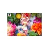 Banpresto One piece Shirahoshi Creator X Creator