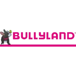 Bullyland Le Roi Lion - SIMBA LIONCEAU