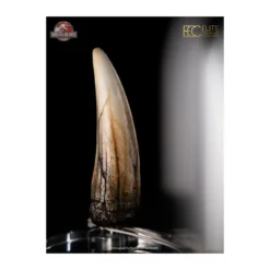 ECC Elite Creature Collectibles - Jurassic Park 3 Replique 1/1 Dent de Spinosaure