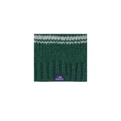 Harry Potter - Bonnet Serpentard