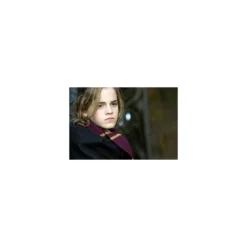 Harry Potter écharpe Gryffondor