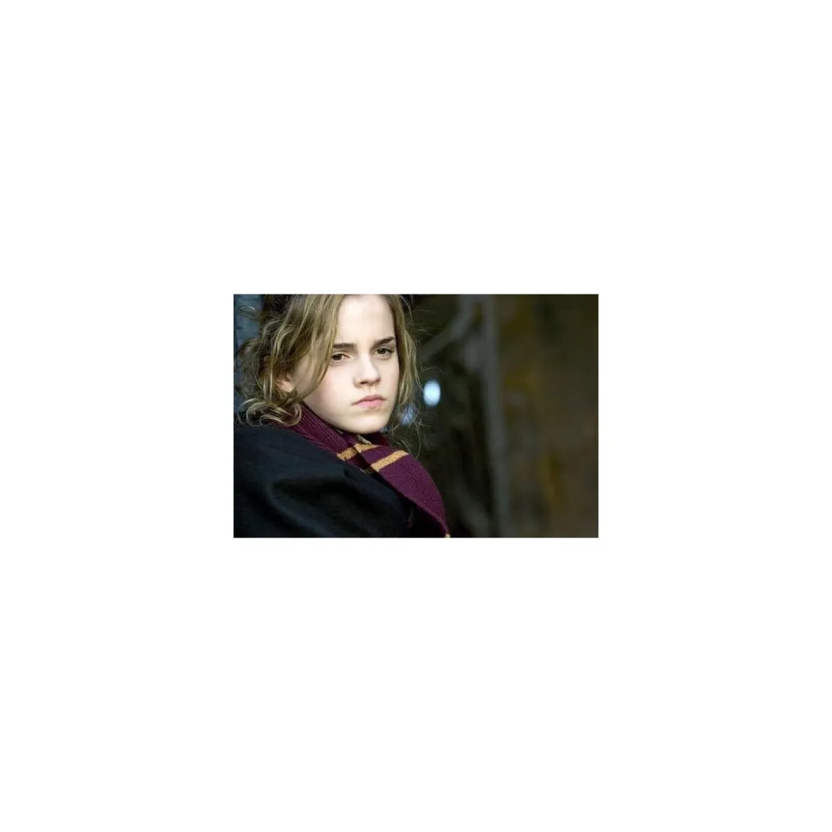 Harry Potter écharpe Gryffondor