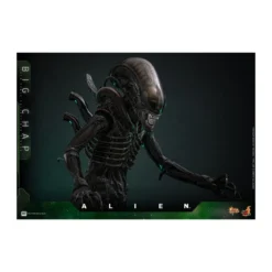 Hot Toys - Alien - Big Chap v2 MMS 1/6