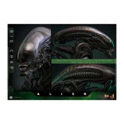 Hot Toys - Alien - Big Chap v2 MMS 1/6