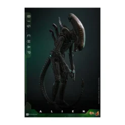Hot Toys - Alien - Big Chap v2 MMS 1/6
