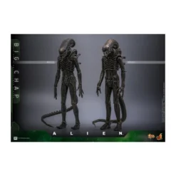 Hot Toys - Alien - Big Chap v2 MMS 1/6