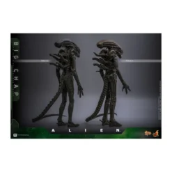 Hot Toys - Alien - Big Chap v2 MMS 1/6