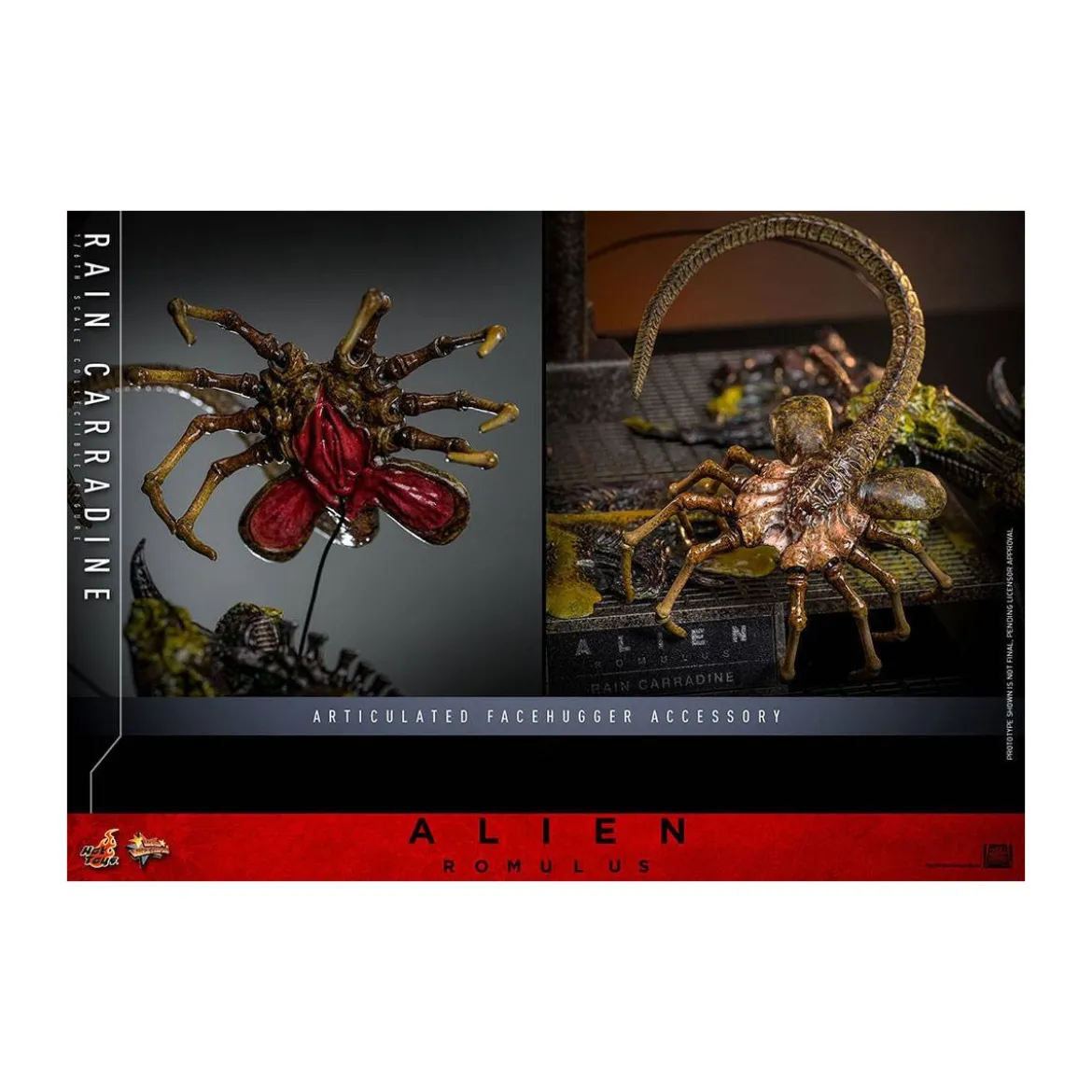 Hot Toys - Alien Romulus - Rain Carradine MMS 1/6