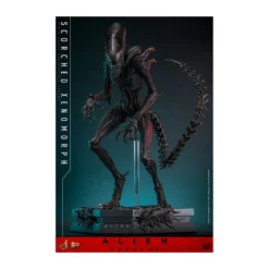 Hot Toys - Alien Romulus - Scorched Xenomorph MMS 1/6