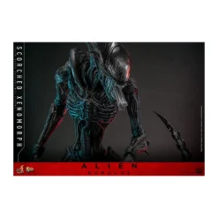 Hot Toys - Alien Romulus - Scorched Xenomorph MMS 1/6