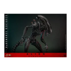 Hot Toys - Alien Romulus - Scorched Xenomorph MMS 1/6