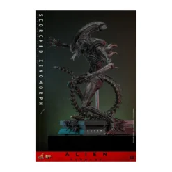 Hot Toys - Alien Romulus - Scorched Xenomorph MMS 1/6