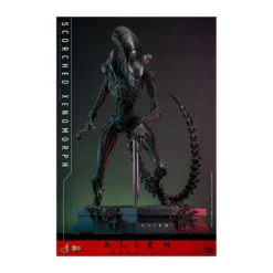 Hot Toys - Alien Romulus - Scorched Xenomorph MMS 1/6