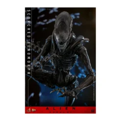 Hot Toys - Alien Romulus - Scorched Xenomorph MMS 1/6