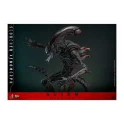 Hot Toys - Alien Romulus - Scorched Xenomorph MMS 1/6
