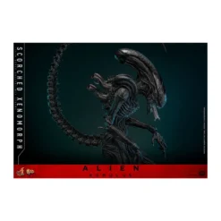 Hot Toys - Alien Romulus - Scorched Xenomorph MMS 1/6