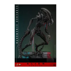Hot Toys - Alien Romulus - Scorched Xenomorph MMS 1/6