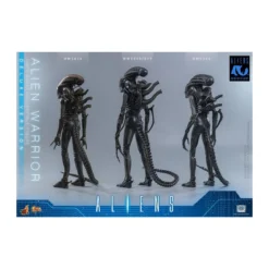 Hot Toys - Aliens - Alien Warrior v2 Deluxe MMS899 1/6