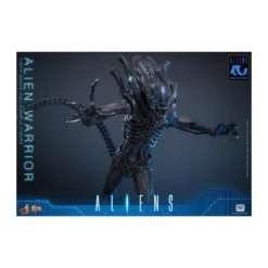 Hot Toys - Aliens - Alien Warrior v2 MMS898 1/6