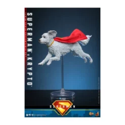 Hot Toys - DC Comics - Superman & Krypto MMS 1/6 - Superman (2025)