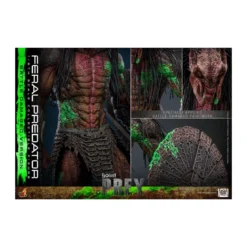 Hot Toys - Feral Predator (Battle Damaged Version) MMS 1/6 - Prey