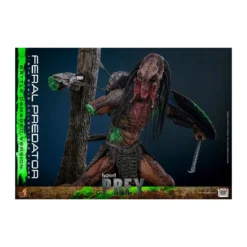 Hot Toys - Feral Predator (Battle Damaged Version) MMS 1/6 - Prey