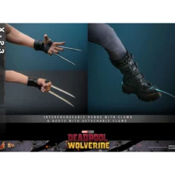 Hot Toys Marvel Deadpool & Wolverine - X-23 MMS 1/6