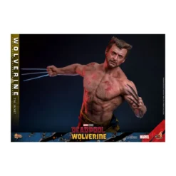 Hot Toys Marvel Deadpool & Wolverine - Wolverine TVA Jacket Version MMS 1/6