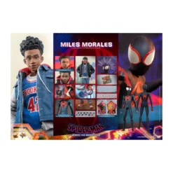 Hot Toys - Miles Morales - Spider-Man: Across the Spider-Verse Part One - Movie Masterpiece 1/6