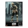 Hot Toys Star Wars Mandalorian Scout Trooper TMS016