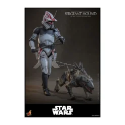 Hot Toys Star Wars - Sergeant Hound - The Clone Wars 1/6