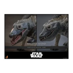 Hot Toys Star Wars - Sergeant Hound - The Clone Wars 1/6