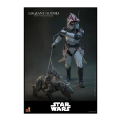 Hot Toys Star Wars - Sergeant Hound - The Clone Wars 1/6