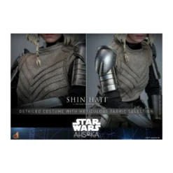 Hot Toys Star Wars - SHIN HATI - Ahsoka Tano 1/6