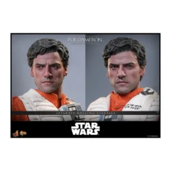 Hot Toys Star Wars : The Force Awakens - POE DAMERON MMS 1/6
