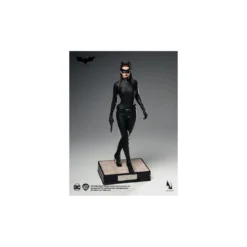 INART - Catwoman 1/6 Scale Collectible Figure - The Dark Knight Rises