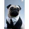INFINITY STUDIO - FRANK Life-Size 1/1 - Men in Black