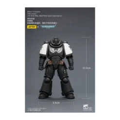 JoyToy Space Marines - Black Templars - Intercessors 1/18 - Warhammer 40K