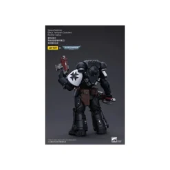 JoyToy Space Marines - Black Templars - Outriders Brother Valtus 1/18 - Warhammer 40K