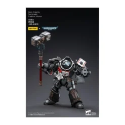 JoyToy Space marines - Grey Knights - Terminator Caddon Vibova 1/18 - Warhammer 40K