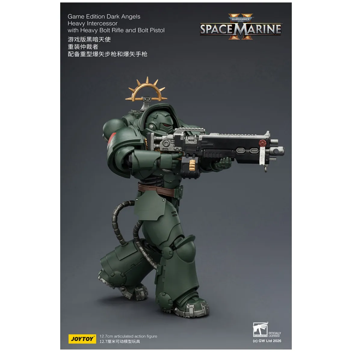 JoyToy - Space Marines II - Dark Angels - Heavy Intercessor with Heavy Bolt Rifle and Bolt Pistol 1/18