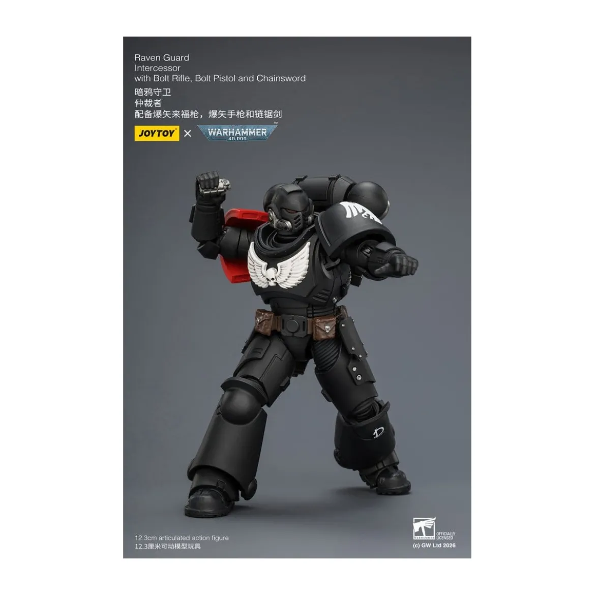 JoyToy Space Marines - Raven Guard - Intercessors 1/18 - Warhammer 40K