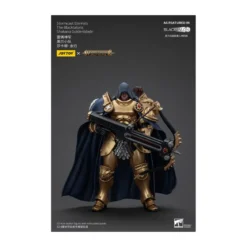 JoyToy - Stormcast Eternals The Blacktalons - Shakana Goldenblade 1/18 - Warhammer Age of Sigmar