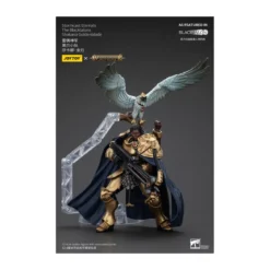 JoyToy - Stormcast Eternals The Blacktalons - Shakana Goldenblade 1/18 - Warhammer Age of Sigmar