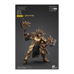 JoyToy - Stormcast Eternals The Blacktalons - Neave Blacktalon 1/18 - Warhammer Age of Sigmar