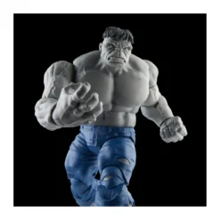 Marvel Legends - GRAY HULK & DR. BRUCE BANNER - Avengers: Beyond Earth's Mightiest