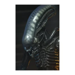 Neca Alien 1979 - Big Chap 1/4 - Kenner Box