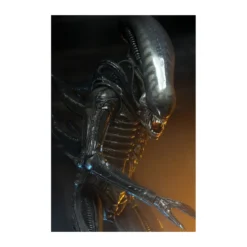Neca Alien 1979 - Big Chap 1/4 - Kenner Box