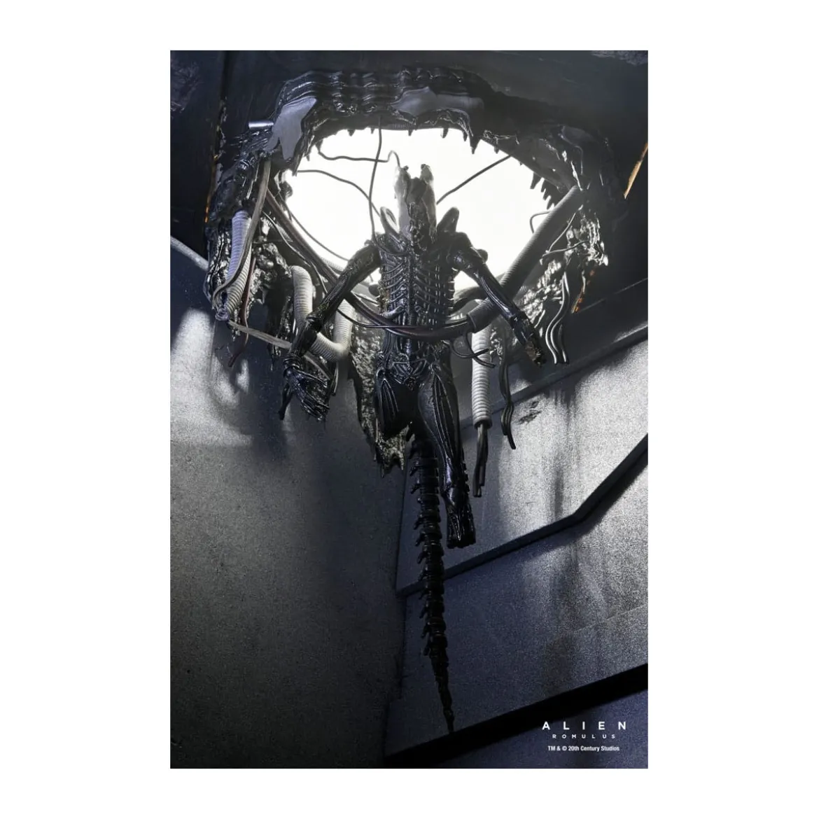 Neca - Alien: Romulus - Deluxe Suspended Lab Xenomorph XX121
